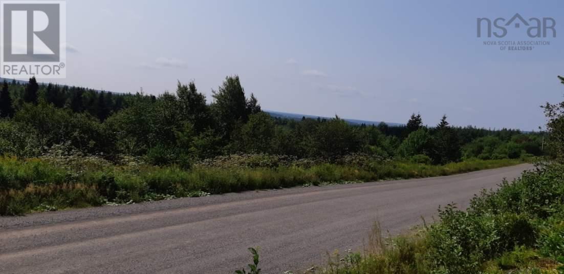 Lot Salem Road, Enon, Nova Scotia  B1J 1W1 - Photo 5 - 202203651