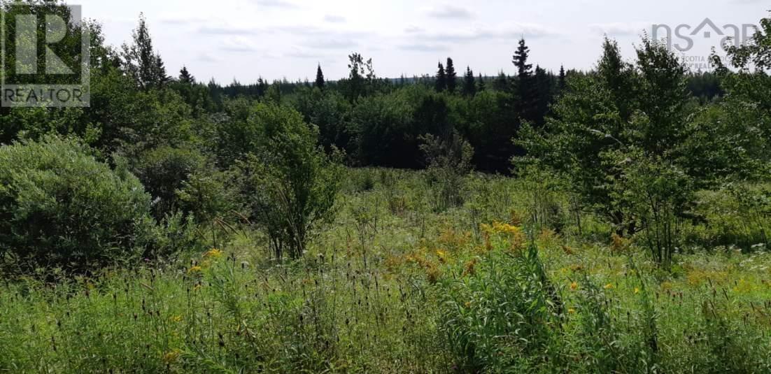 Lot Salem Road, Enon, Nova Scotia  B1J 1W1 - Photo 6 - 202203651