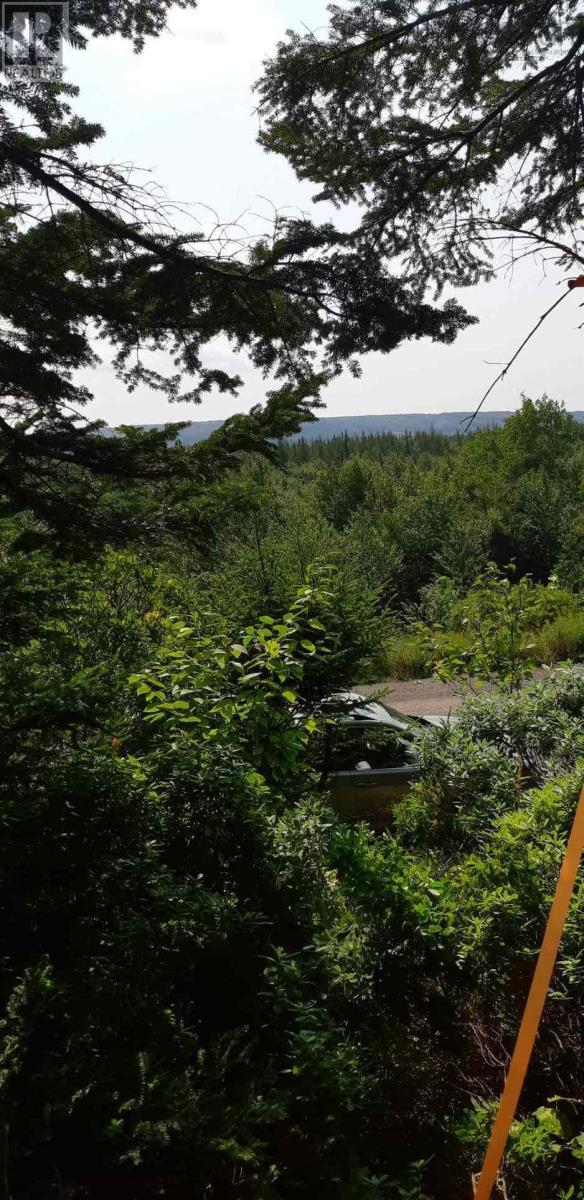 Lot Salem Road, Enon, Nova Scotia  B1J 1W1 - Photo 7 - 202203651