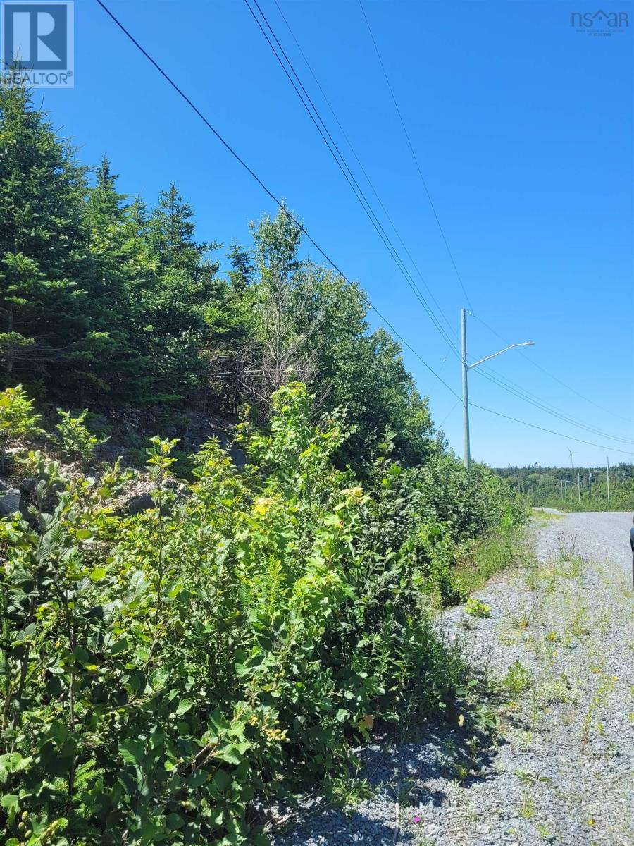Ws-1 Westside Inlet Drive, West Petpeswick, Nova Scotia  B0J 2L0 - Photo 5 - 202307423