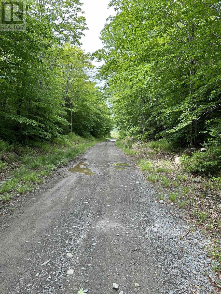 Griffiths Road, Weaver Settlement, Nova Scotia  B0W 3T0 - Photo 13 - 202312272