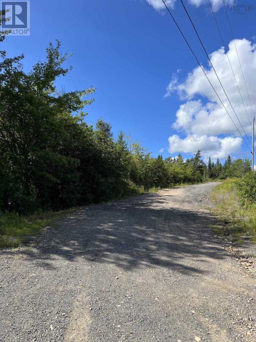 Lot 2 Maclean Road, Hunters Mountain, Nova Scotia  B0E 1B0 - Photo 11 - 202317840