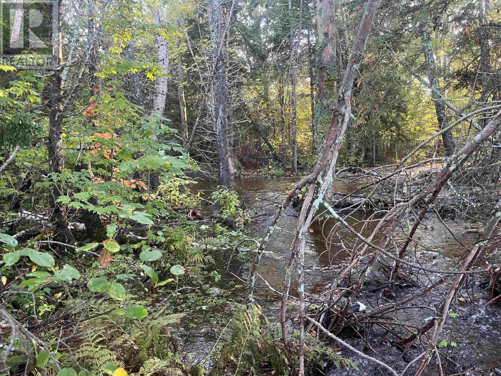 Lot Highway 4, Big Pond, Nova Scotia  B1J 1Z4 - Photo 31 - 202321522