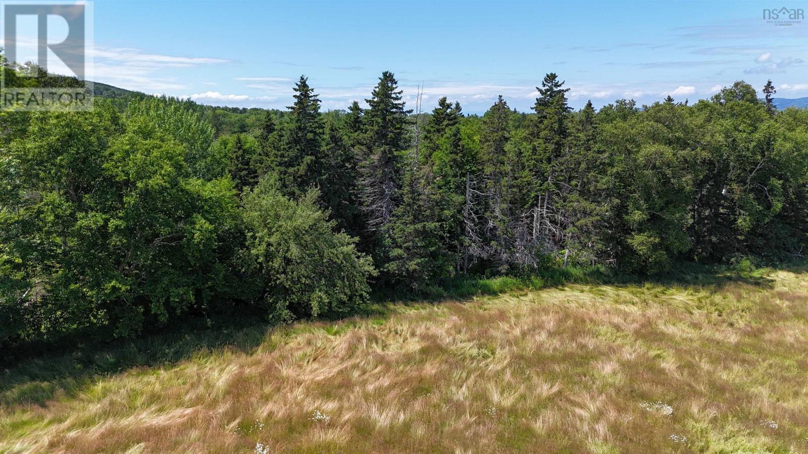Lot Highway 4, Big Pond, Nova Scotia  B1J 1Z4 - Photo 34 - 202321522