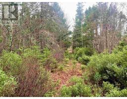 2.3 Acres Highway 308|Tusket, tusket, Nova Scotia
