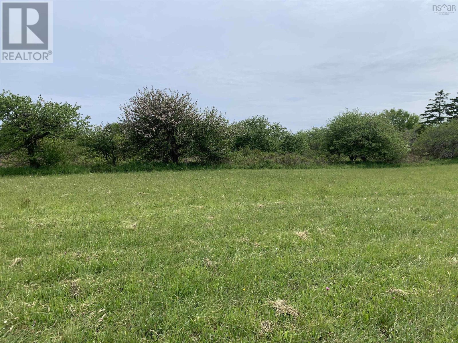 3 Lots Chemin A Alphee, Lower Wedgeport, Nova Scotia  B0W 2B0 - Photo 8 - 202411958