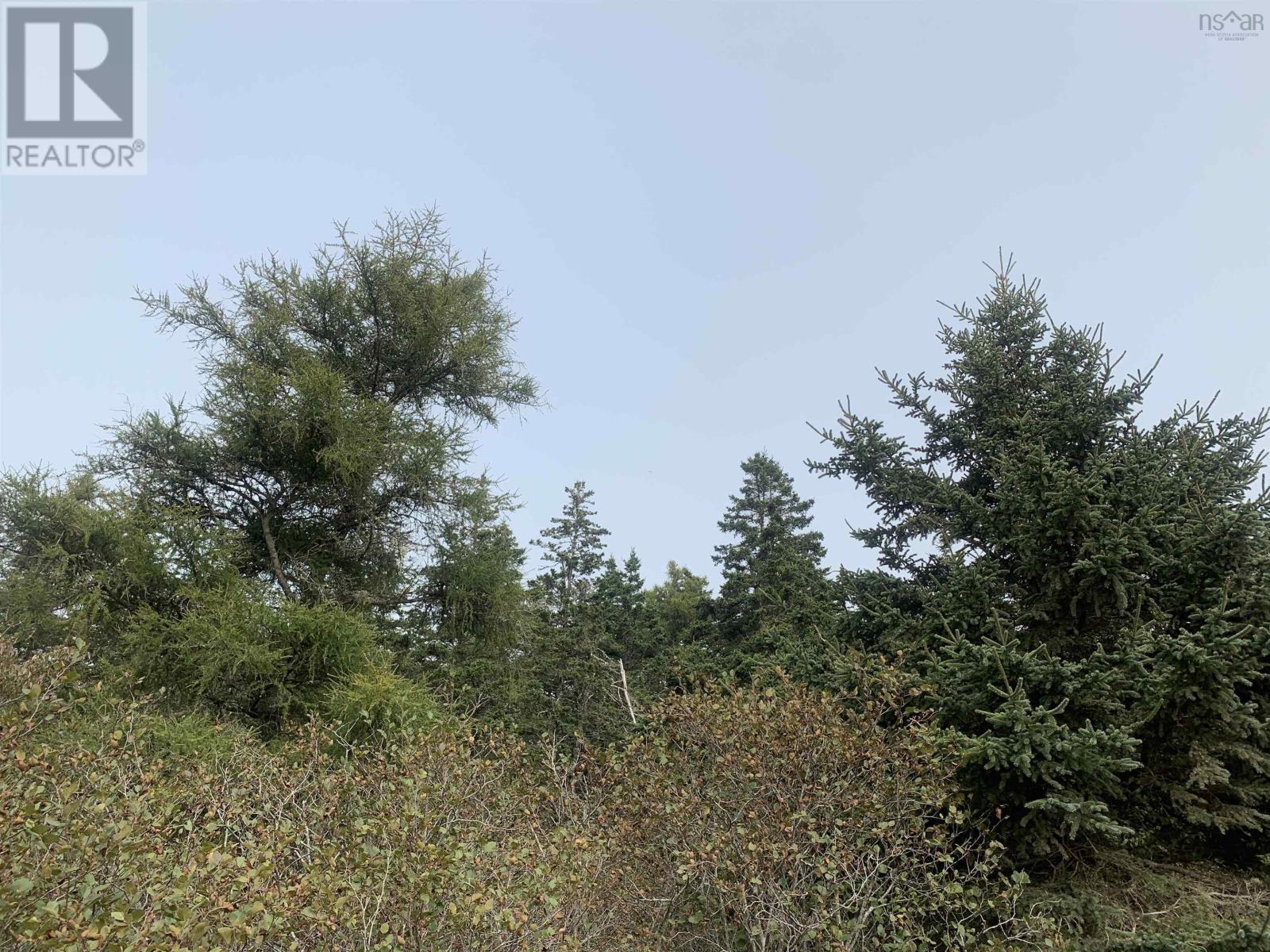 Lot C Leblanc Branch Road, Mavillette, Nova Scotia  B5A 5B3 - Photo 6 - 202415620