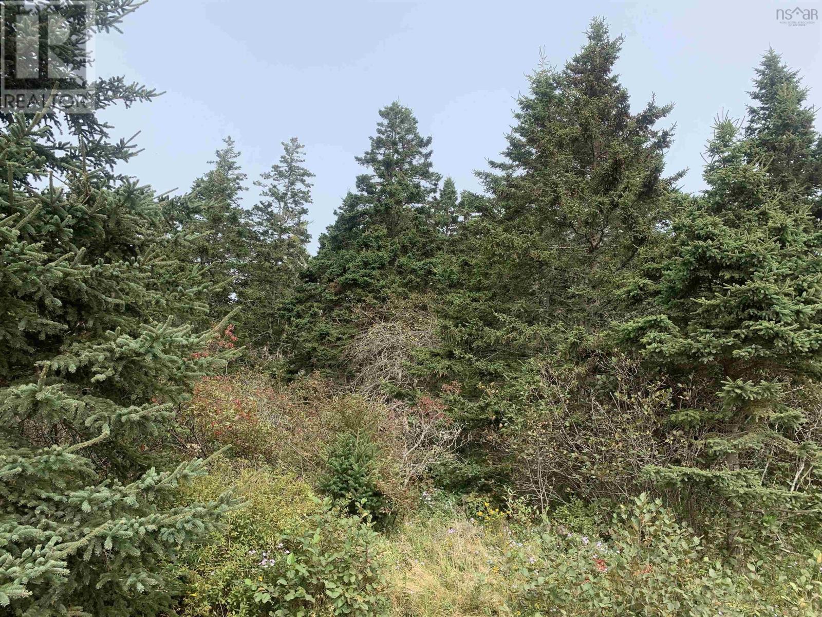 Lot C Leblanc Branch Road, Mavillette, Nova Scotia  B5A 5B3 - Photo 7 - 202415620