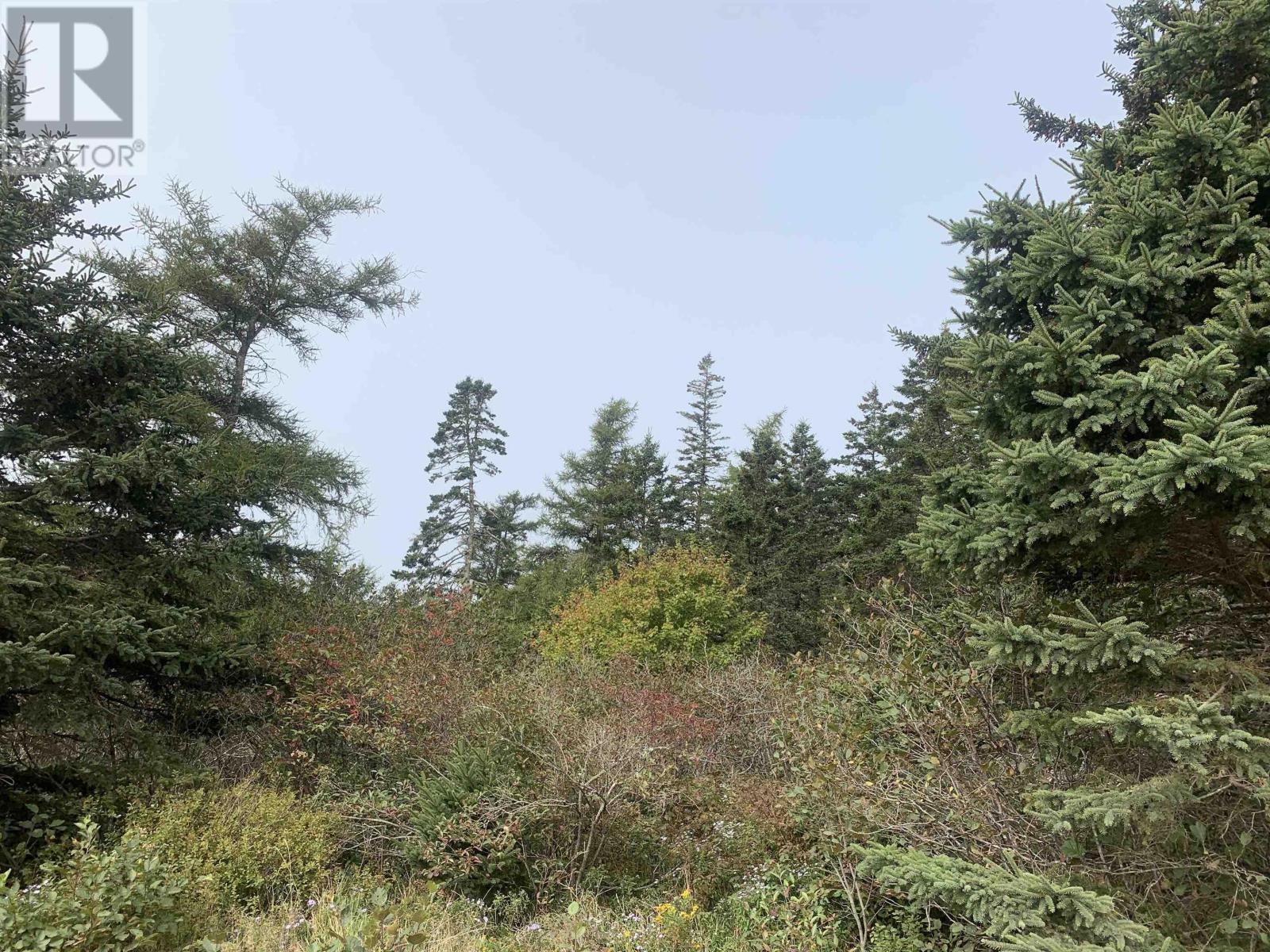 Lot C Leblanc Branch Road, Mavillette, Nova Scotia  B5A 5B3 - Photo 8 - 202415620