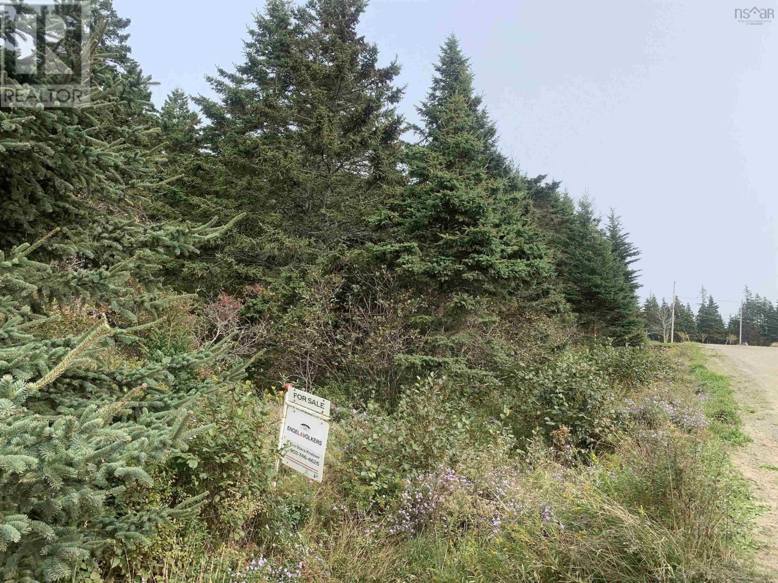 Lot C Leblanc Branch Road, Mavillette, Nova Scotia  B5A 5B3 - Photo 9 - 202415620