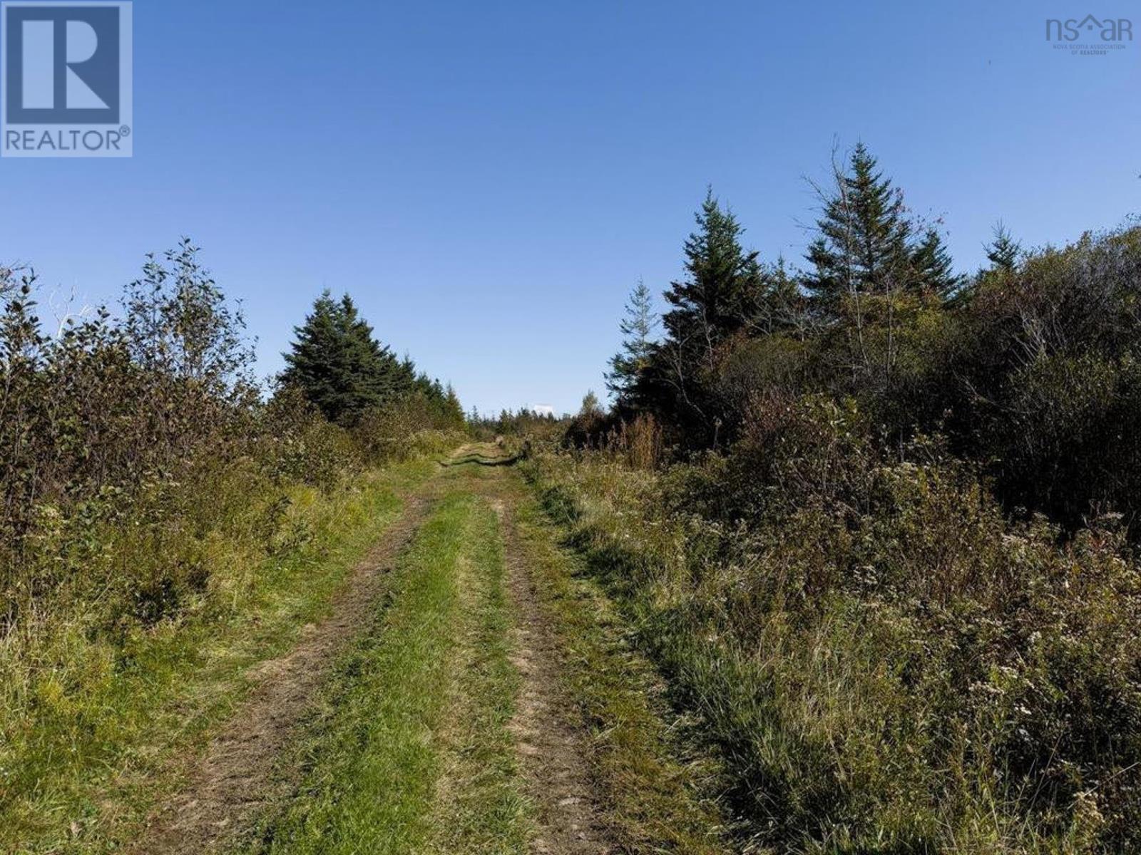 Lot Highway 340, South Ohio, Nova Scotia  B5A 5N1 - Photo 7 - 202418109