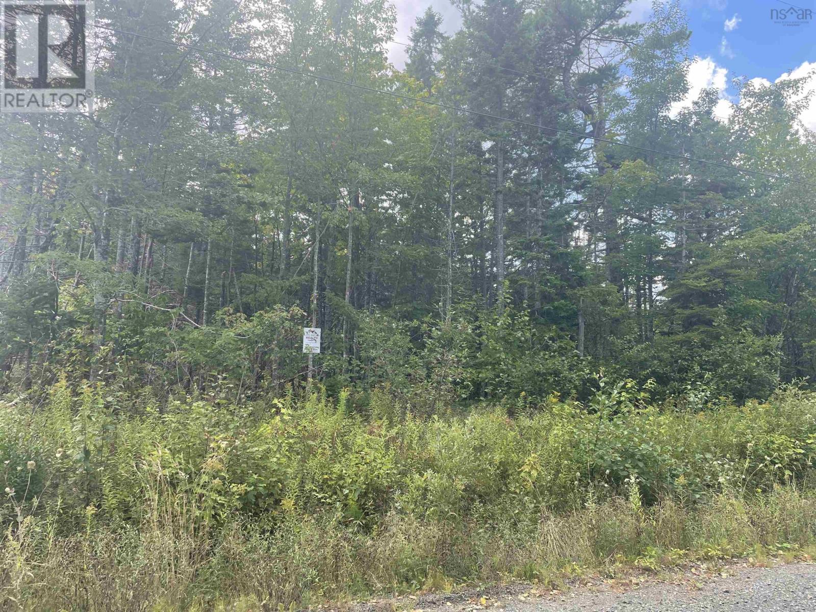 Militia Point Road, Inverness, Nova Scotia  B0E 2Y0 - Photo 4 - 202419304