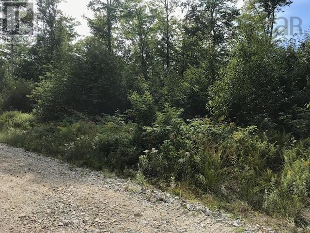 Lot 2 Lake Fanning Road, Carleton, Nova Scotia  B5A 5R2 - Photo 3 - 202419775