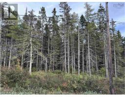 Point View Road, louisdale, Nova Scotia