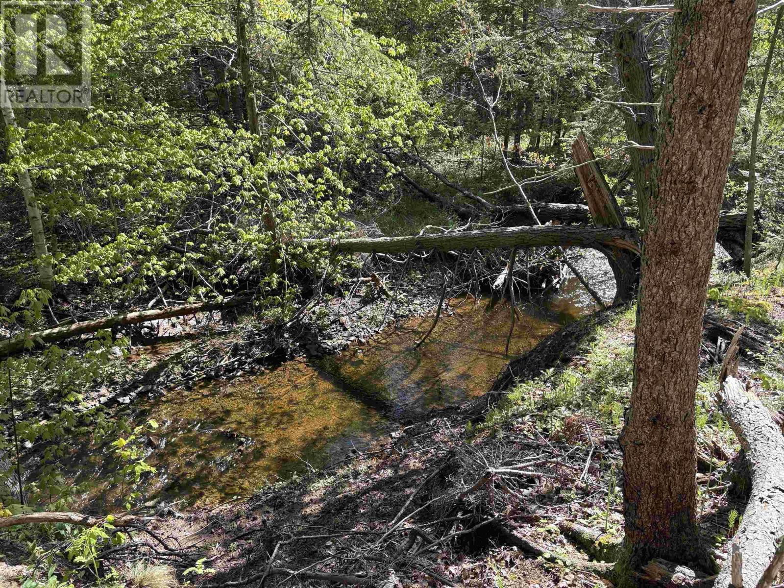 Lot 2.4+- Acres Oliver Road, Hazel Glen, Nova Scotia  B0K 2A0 - Photo 4 - 202422432