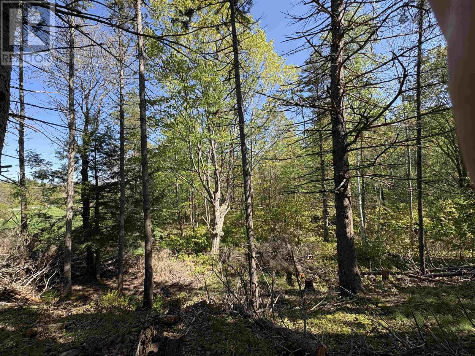 Lot 2.4+- Acres Oliver Road, Hazel Glen, Nova Scotia  B0K 2A0 - Photo 5 - 202422432