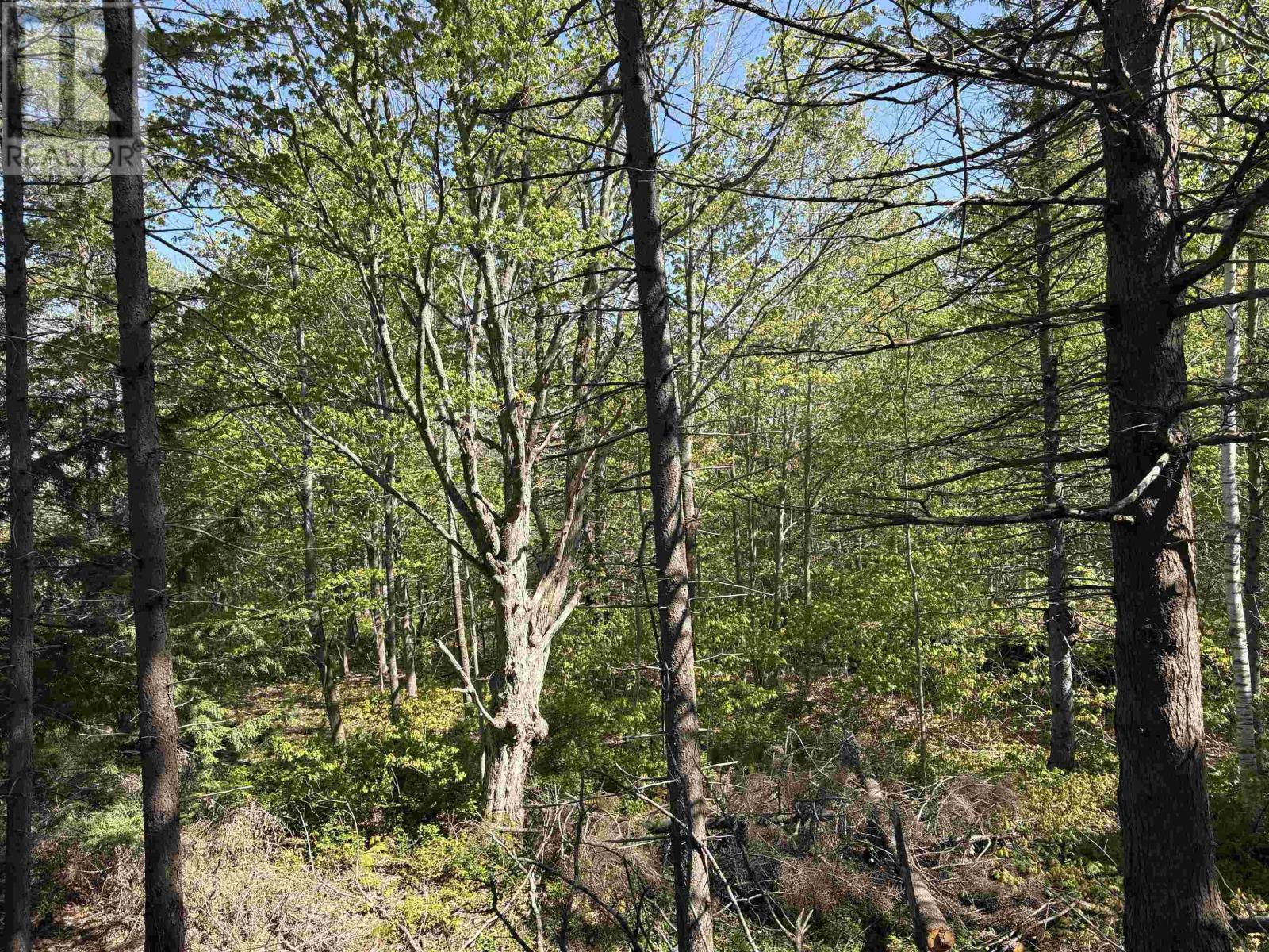 Lot 2.4+- Acres Oliver Road, Hazel Glen, Nova Scotia  B0K 2A0 - Photo 6 - 202422432