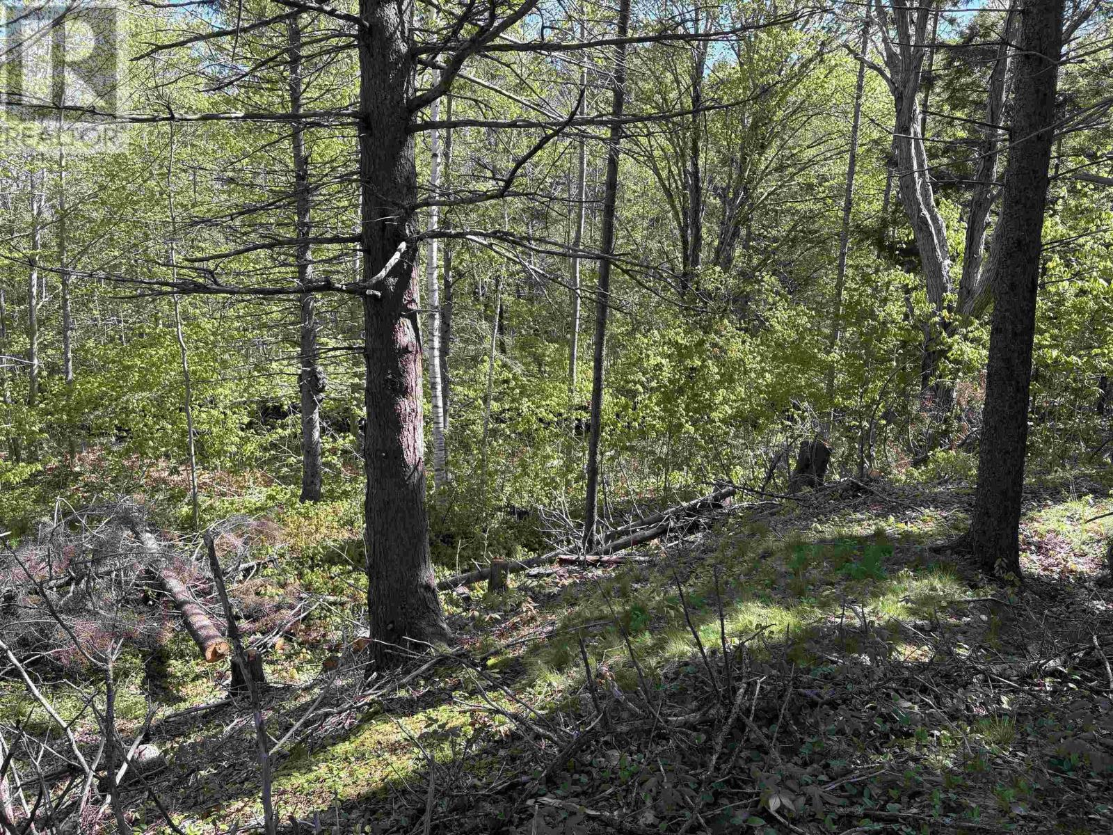 Lot 2.4+- Acres Oliver Road, Hazel Glen, Nova Scotia  B0K 2A0 - Photo 7 - 202422432