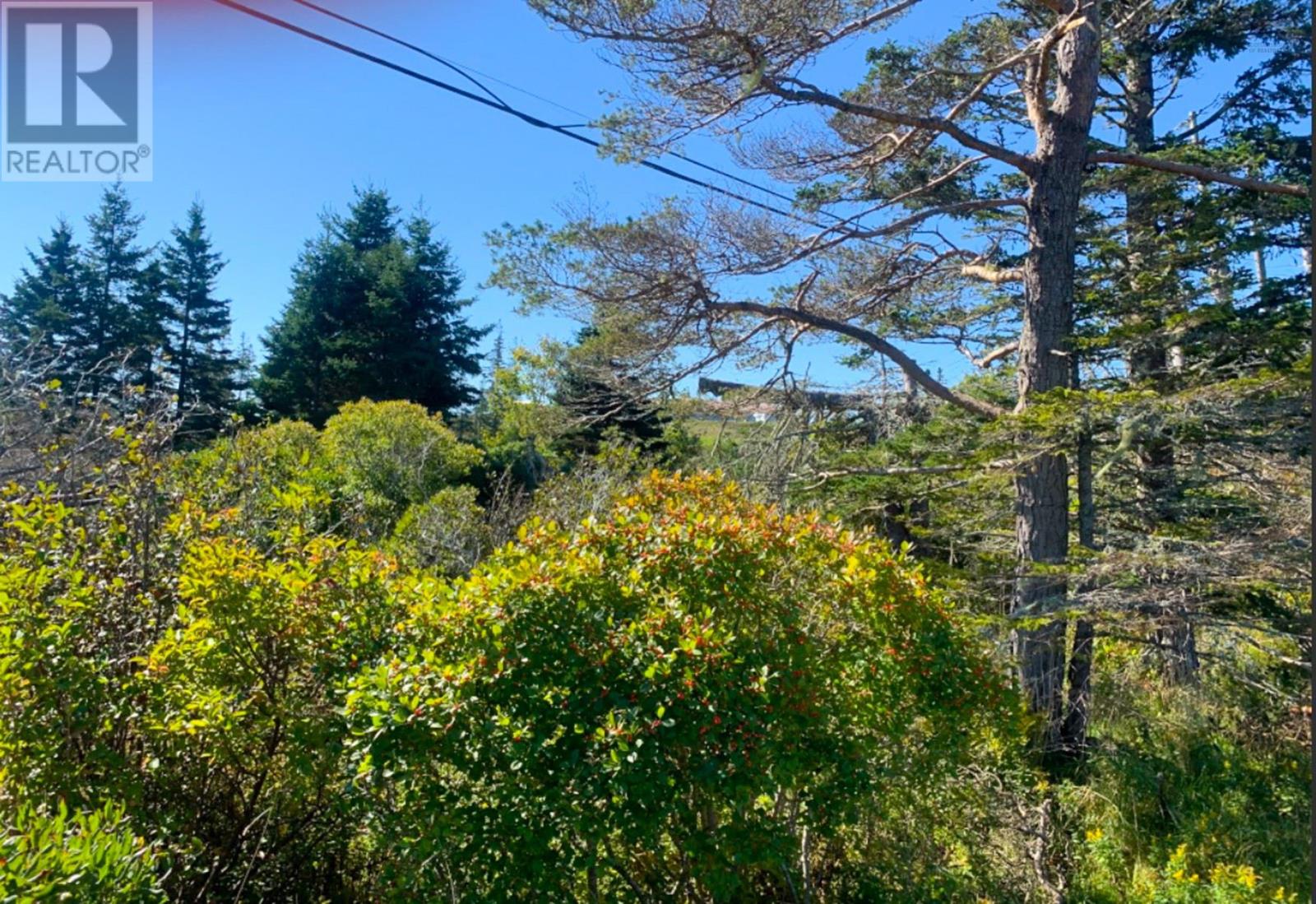 Lot Overton Road, South Chegoggin, Nova Scotia  B5A 5G8 - Photo 7 - 202423829