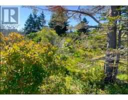 Lot Overton Road, south chegoggin, Nova Scotia