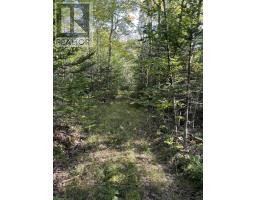 LOT Highway 10, dalhousie, Nova Scotia