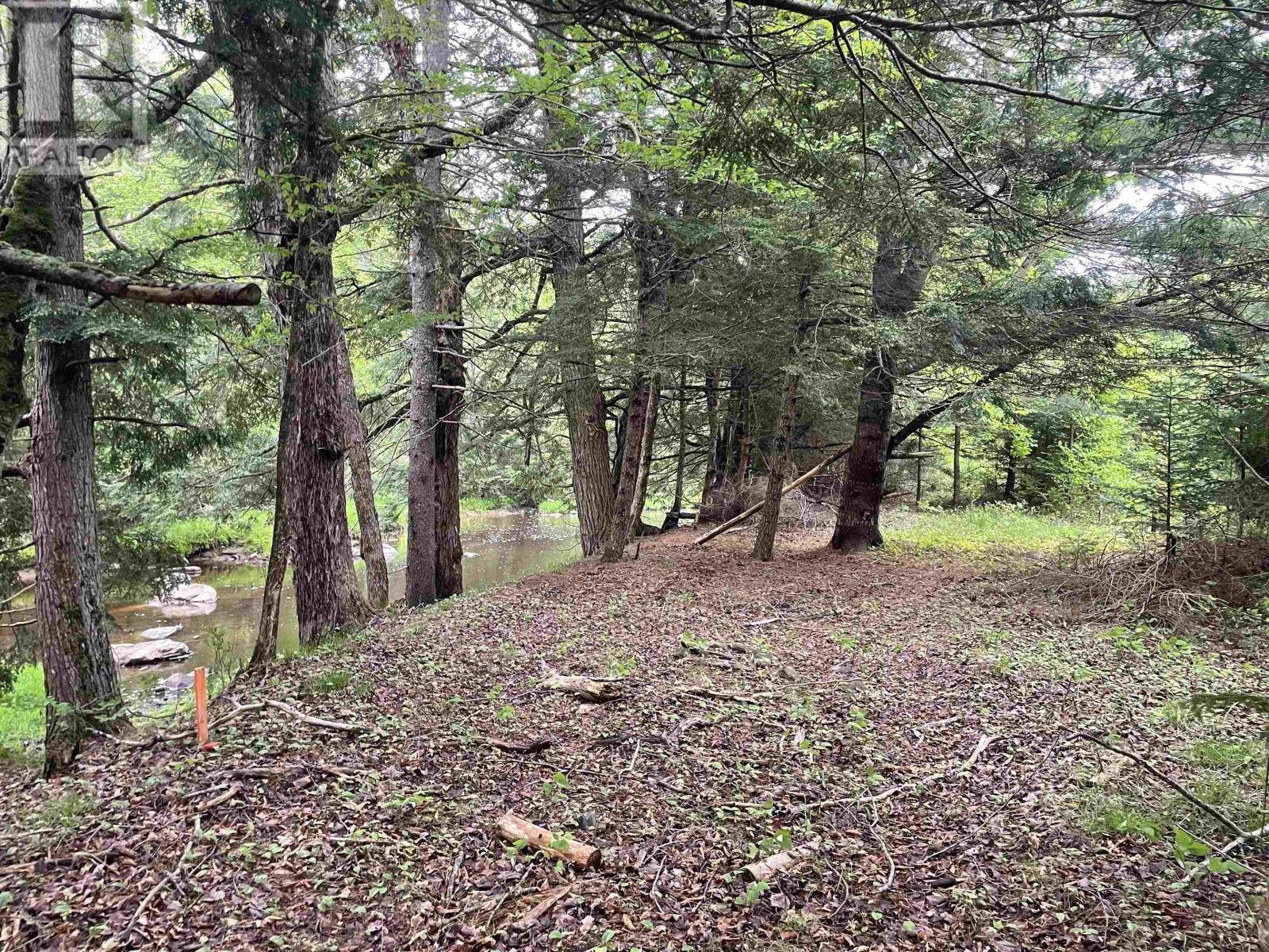 14-1 1786 Antrim Road, Carrolls Corner, Nova Scotia  B0N 1Y0 - Photo 7 - 202425726