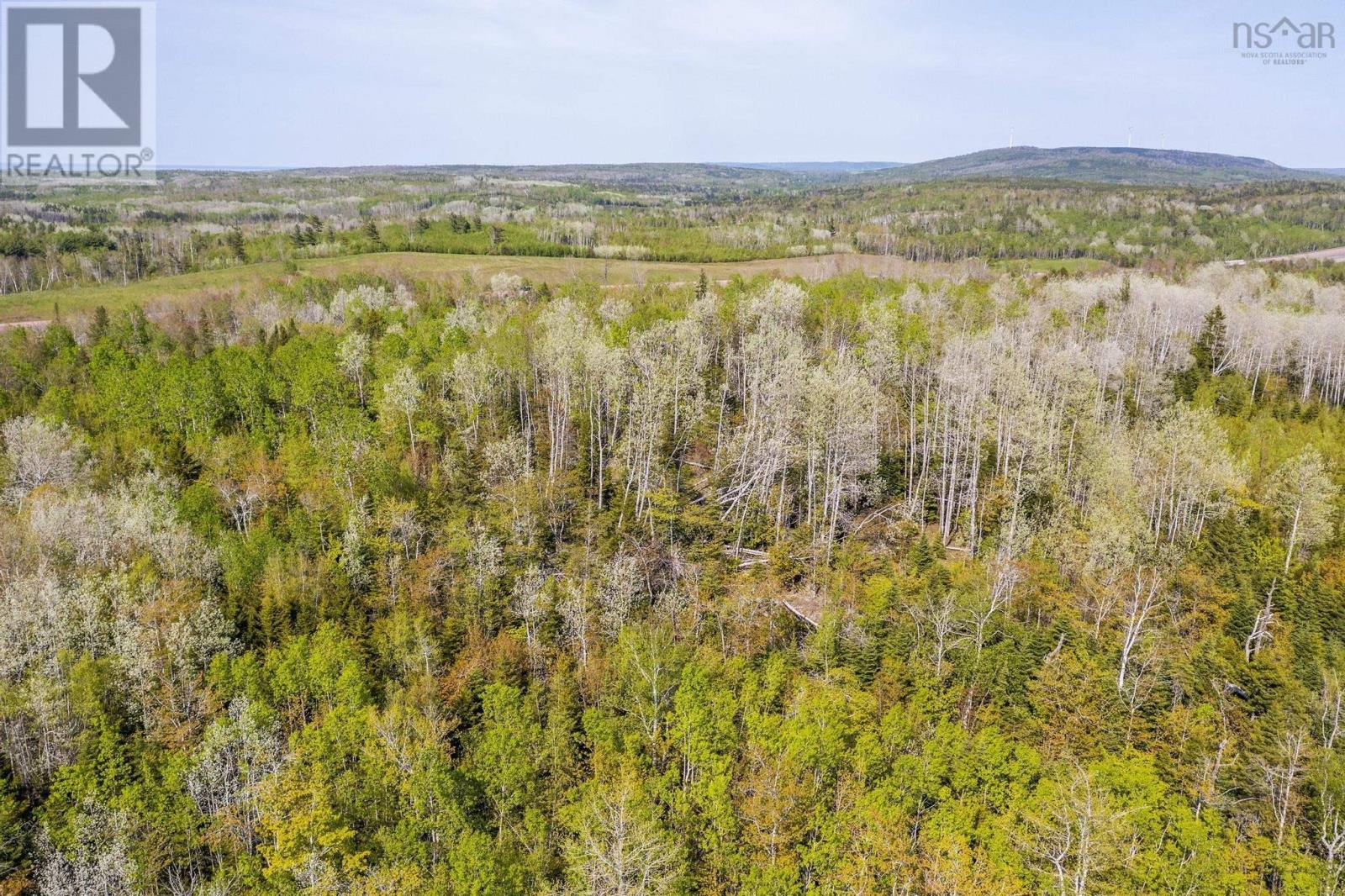 Lot 3b Highway 4, Telford, Nova Scotia  B0K 1G0 - Photo 19 - 202425762