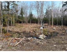 Lot 1 Larry Seldon Lane, western head, Nova Scotia