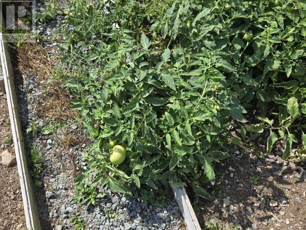 1379 Salmon River Road, L'ardoise, Nova Scotia  B0E 3B0 - Photo 29 - 202428100