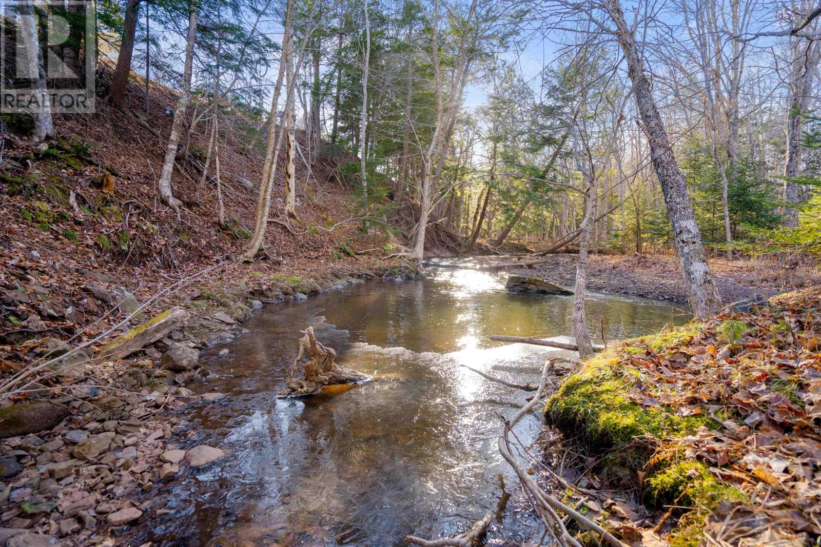 Pine Tree Road, Pine Tree, Nova Scotia  B0K 1W0 - Photo 7 - 202428375