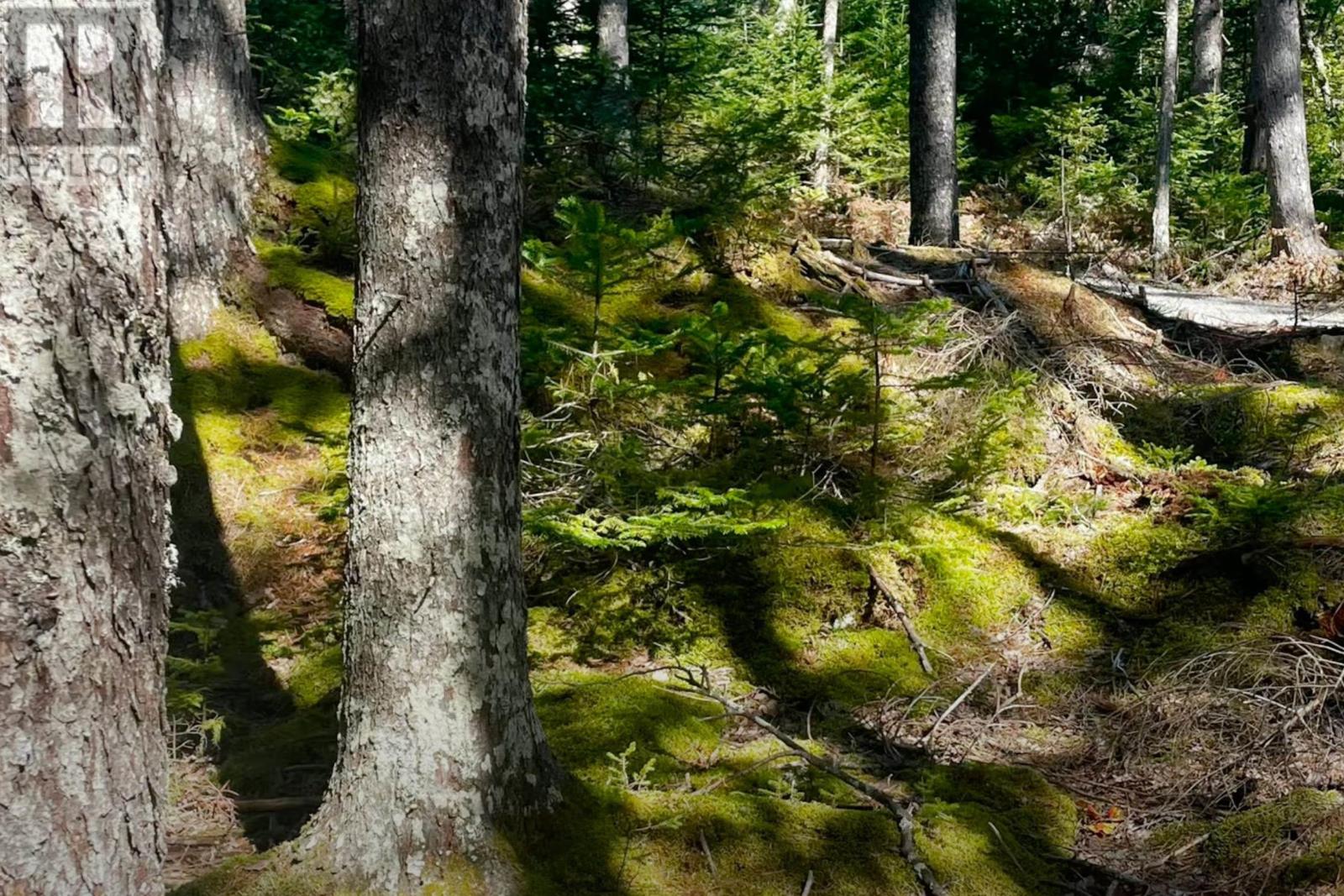 69 Meek Arm Trail, East Hants, Nova Scotia  B0N 1Z0 - Photo 4 - 202500702