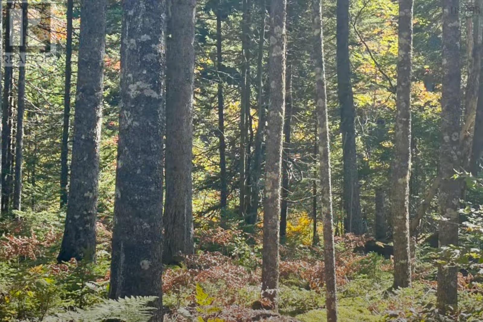 69 Meek Arm Trail, East Hants, Nova Scotia  B0N 1Z0 - Photo 7 - 202500702