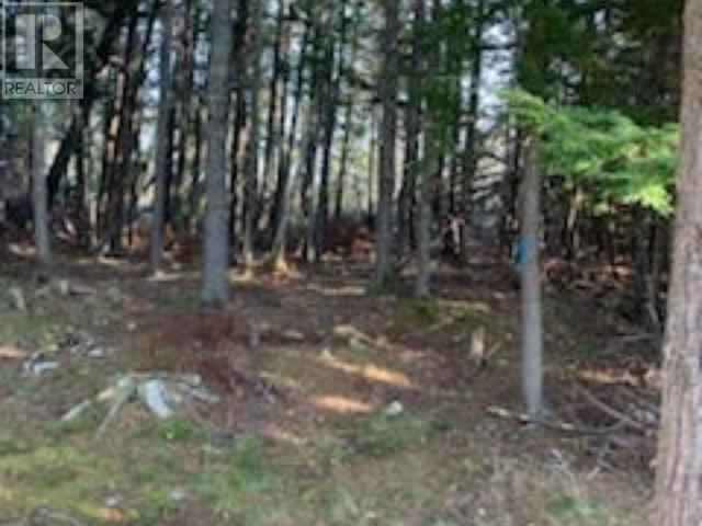 18 Acres Highway 256, West Branch, Nova Scotia  B0K 1R0 - Photo 6 - 202500999