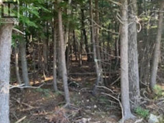 18 Acres Highway 256, West Branch, Nova Scotia  B0K 1R0 - Photo 8 - 202500999