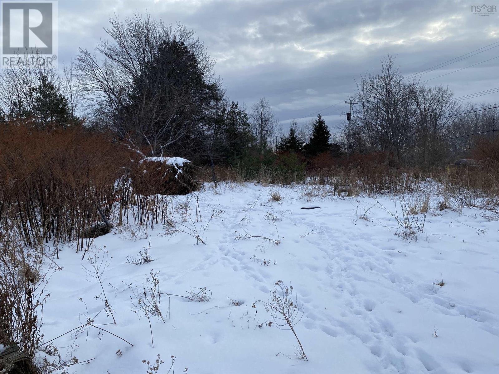 Lot 234 Wellington Street, Pictou, Nova Scotia  B0K 1H0 - Photo 3 - 202501184