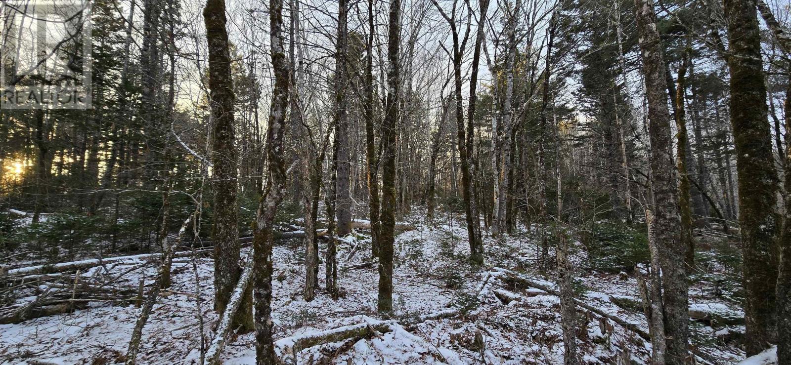 Lot 4 Nathan Croft Road, Camperdown Meadows, Camperdown, Nova Scotia  B4V 6T9 - Photo 11 - 202501239