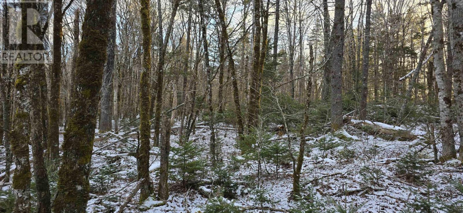 Lot 4 Nathan Croft Road, Camperdown Meadows, Camperdown, Nova Scotia  B4V 6T9 - Photo 14 - 202501239