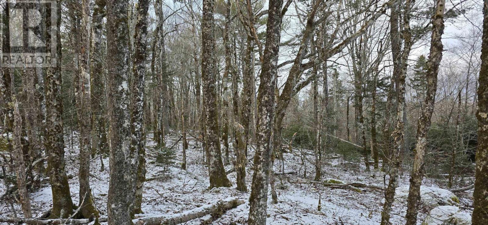 Lot 4 Nathan Croft Road, Camperdown Meadows, Camperdown, Nova Scotia  B4V 6T9 - Photo 5 - 202501239