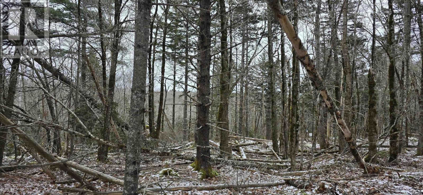 Lot 2 Nathan Croft Road, Camperdown Meadows, Camperdown, Nova Scotia  B4V 6T9 - Photo 10 - 202501241