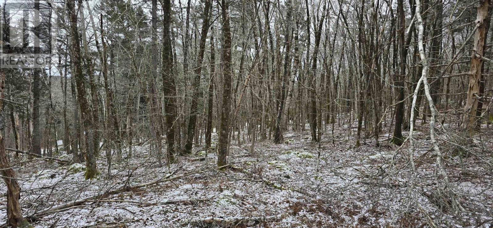 Lot 2 Nathan Croft Road, Camperdown Meadows, Camperdown, Nova Scotia  B4V 6T9 - Photo 11 - 202501241