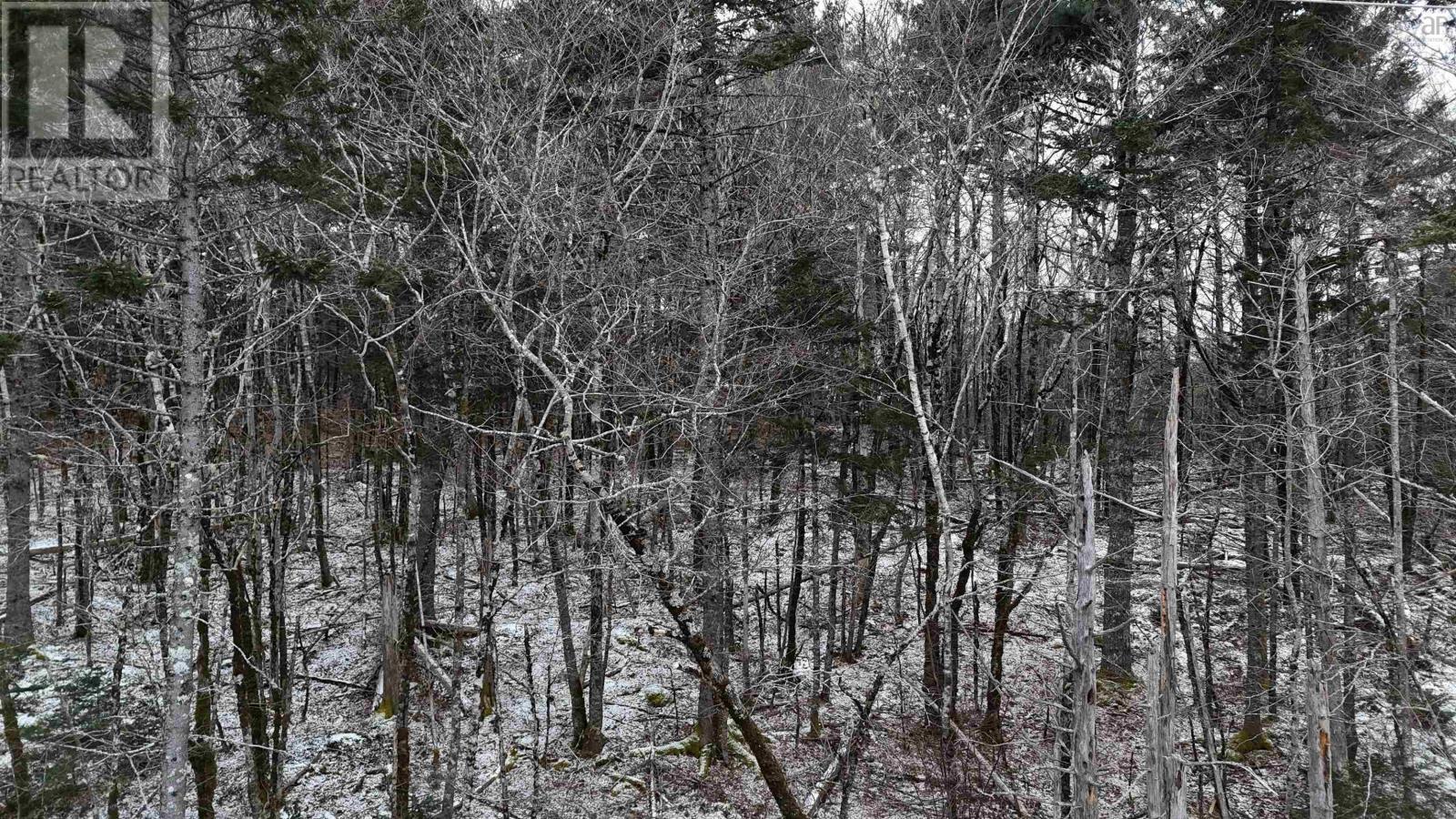 Lot 2 Nathan Croft Road, Camperdown Meadows, Camperdown, Nova Scotia  B4V 6T9 - Photo 22 - 202501241