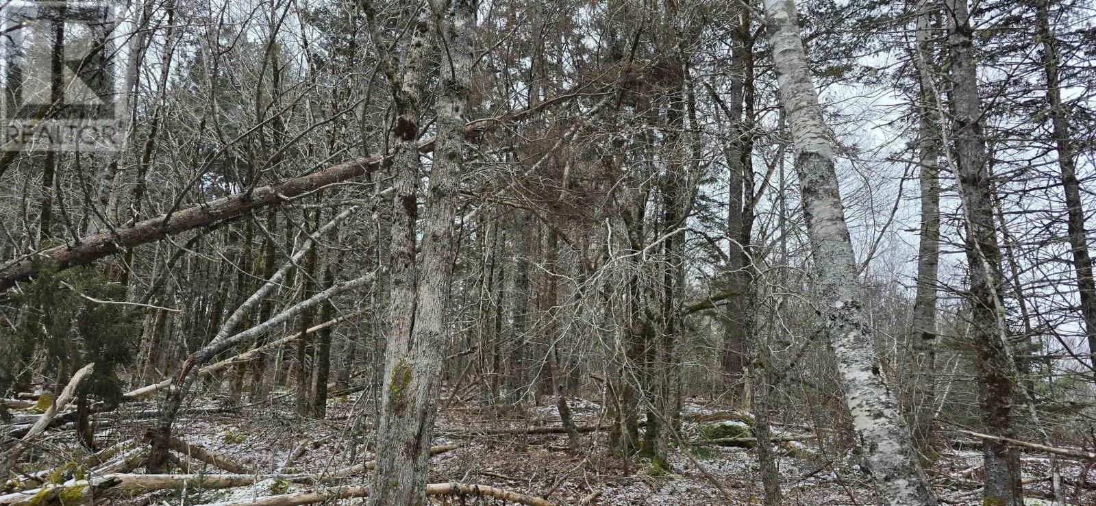 Lot 2 Nathan Croft Road, Camperdown Meadows, Camperdown, Nova Scotia  B4V 6T9 - Photo 5 - 202501241