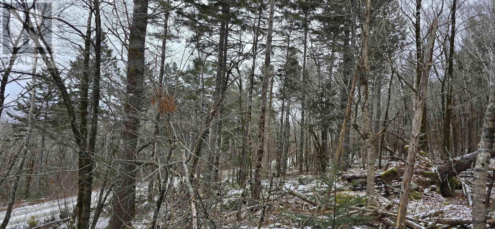 Lot 2 Nathan Croft Road, Camperdown Meadows, Camperdown, Nova Scotia  B4V 6T9 - Photo 7 - 202501241