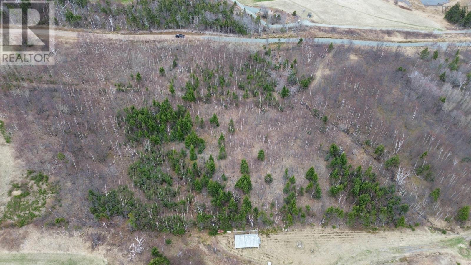 Lot 4 Marble Hill Road, Port Hood, Nova Scotia  B0E 2W0 - Photo 7 - 202501337