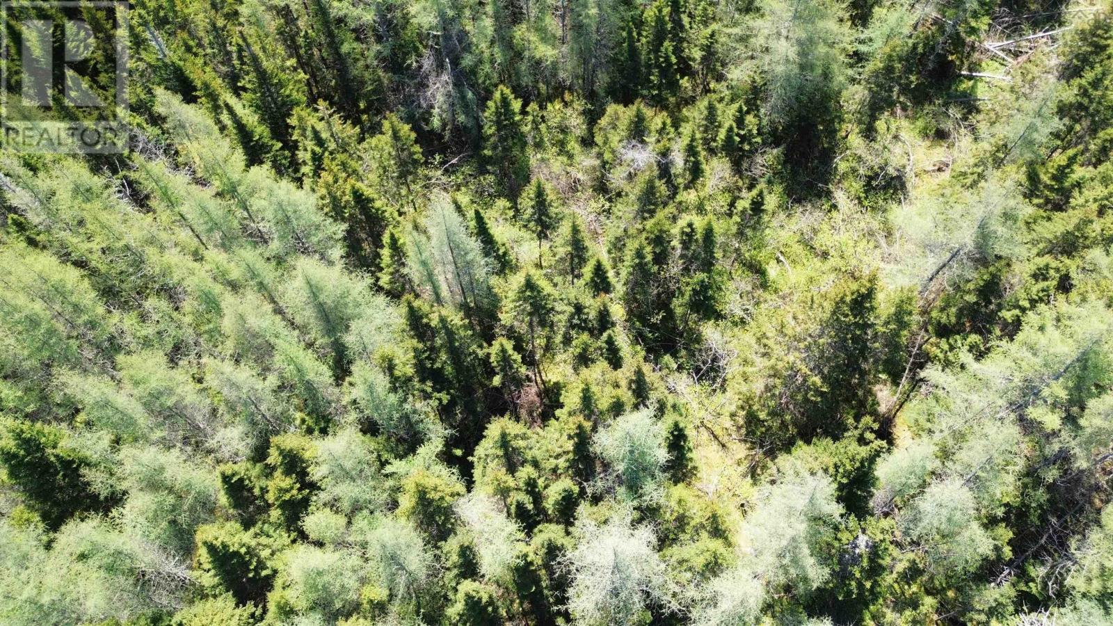 Lot 17 Ashfield Road, River Denys, Nova Scotia  B0E 2Y0 - Photo 3 - 202501680