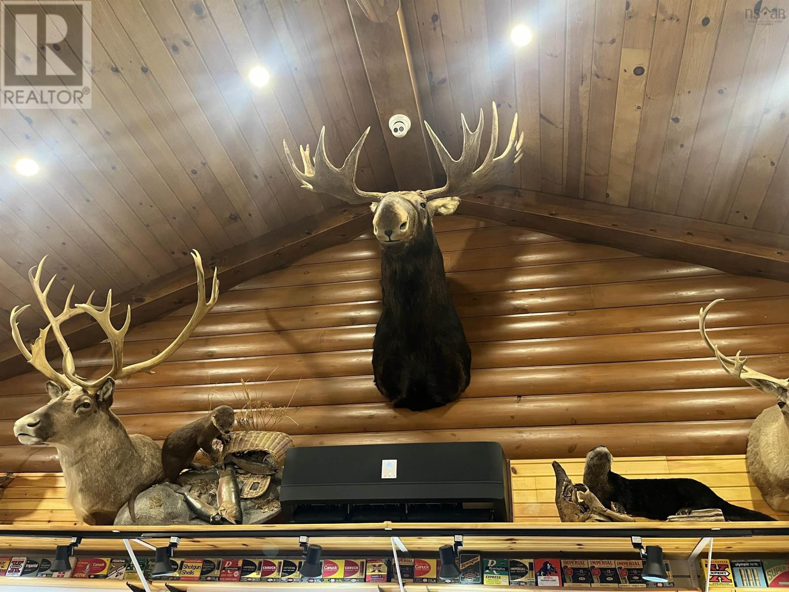 415 Croft Road, Chester Basin, Nova Scotia  B0J 1K0 - Photo 11 - 202501847