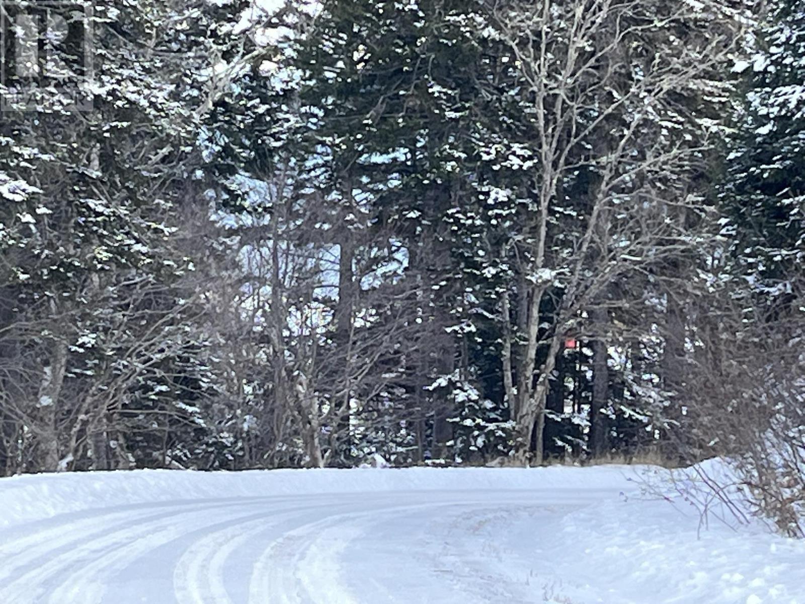 100 Acres Spencers Beach (Hwy 209) Road, Spencers Island, Nova Scotia  B0M 1S0 - Photo 2 - 202502038