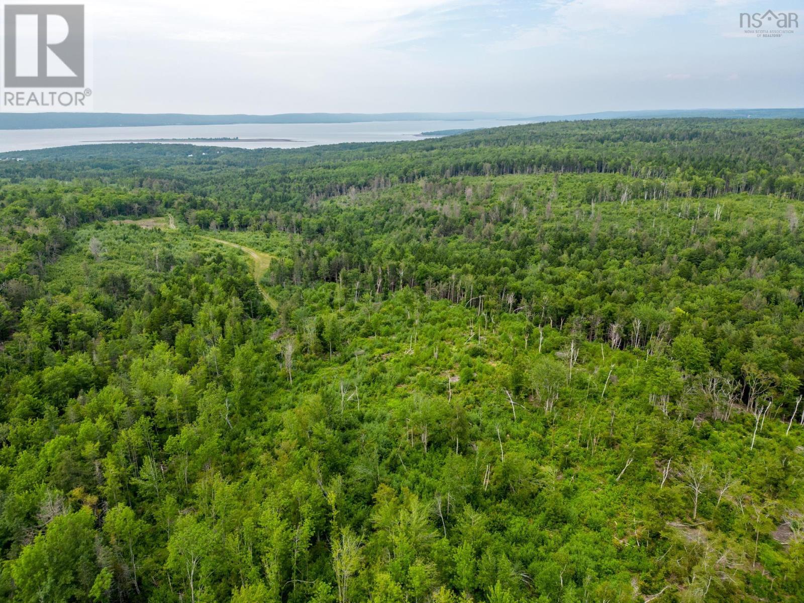 Lot 3 Back Road, Lansdowne, Nova Scotia  B0V 1A0 - Photo 8 - 202502158