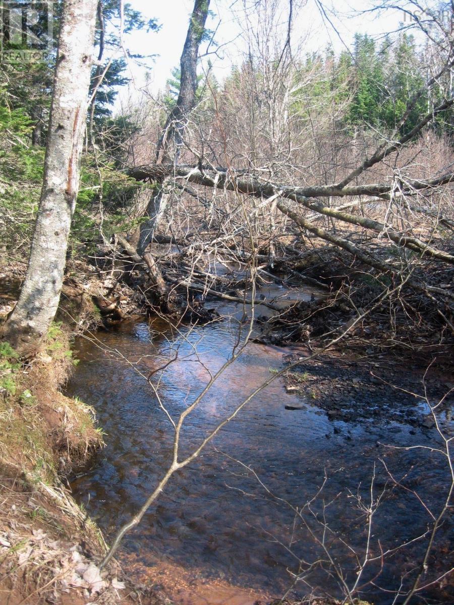 Lot 1 Hunter Road, West Wentworth, Nova Scotia  B0M 1Z0 - Photo 3 - 202502204