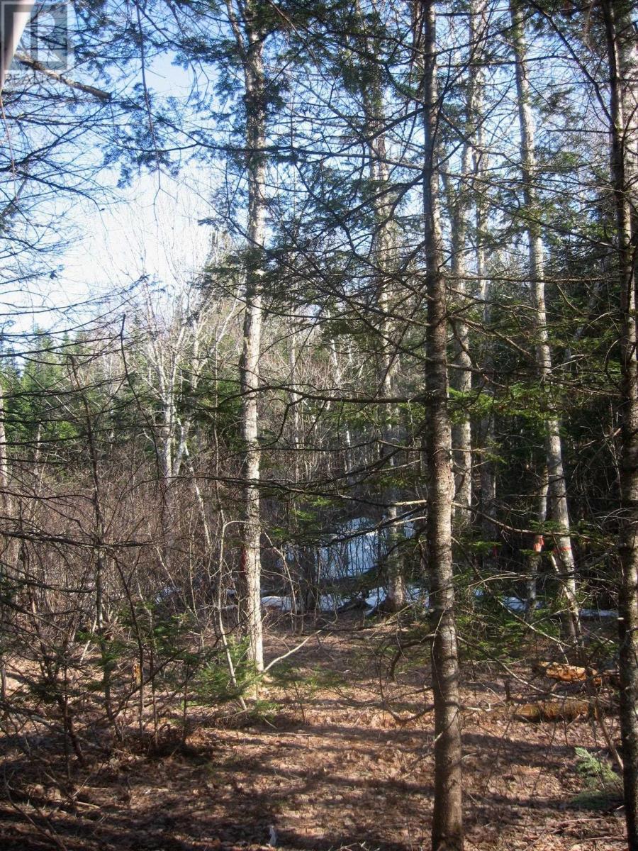 Lot 1 Hunter Road, West Wentworth, Nova Scotia  B0M 1Z0 - Photo 4 - 202502204
